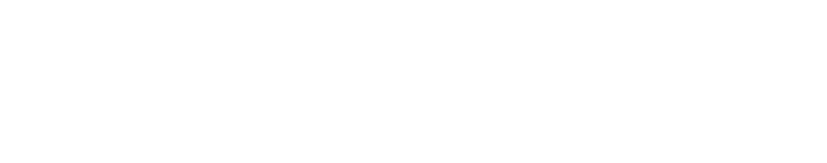 Our Vision